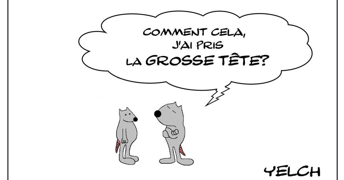 Le rat qui avait la grosse tête