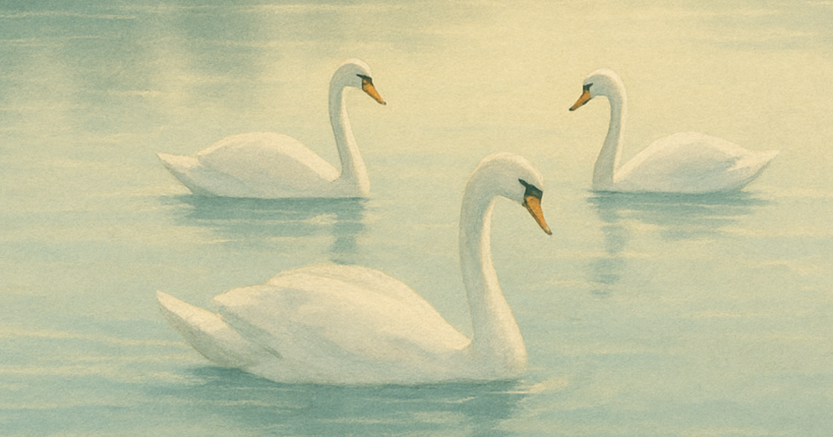 Les cygnes sur l'eau