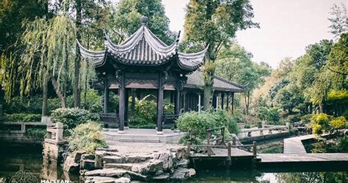 NO CHOICE : SPEAKING OUT (Remedy to Covid19 (Mafia-Sect- [insane]Plan) - Nous n'avons pas d'autre choix que de parler contre le covid (la secte mafieuse avec son plan [ma