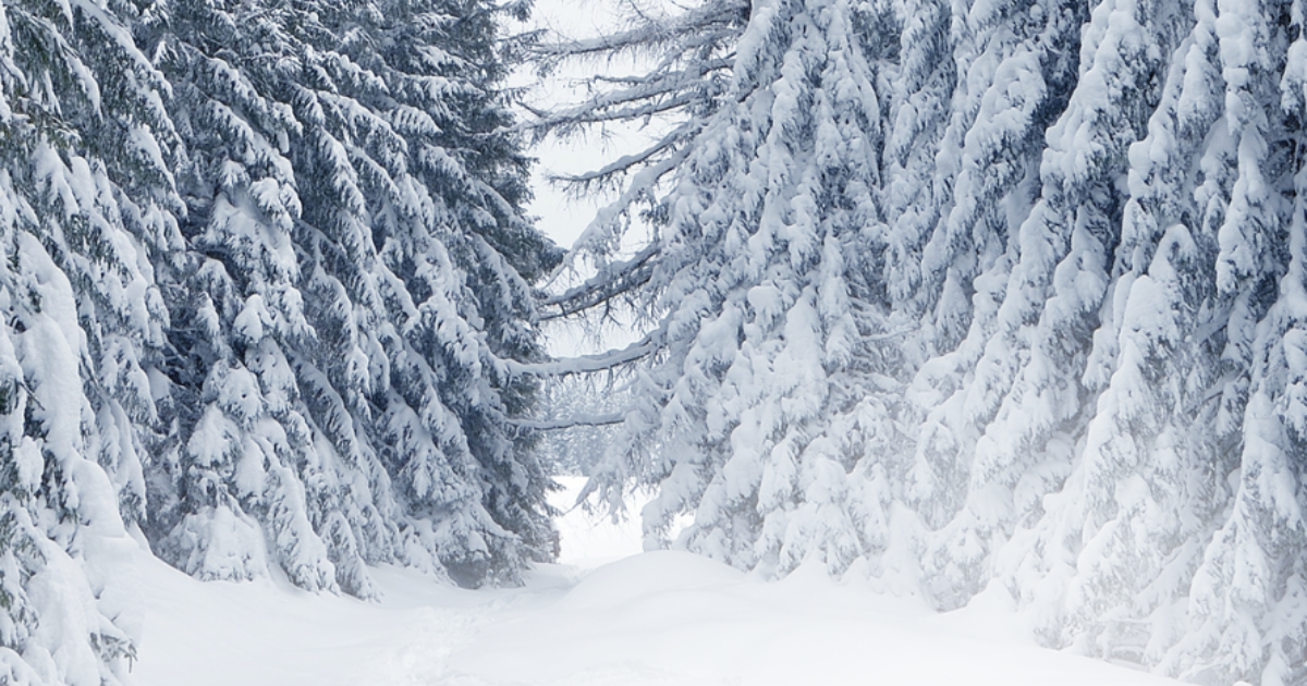 Traverser l’hiver …