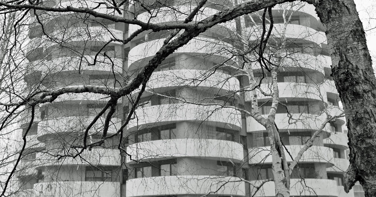 Mini expo photo 14 : L’arbre dans la ville