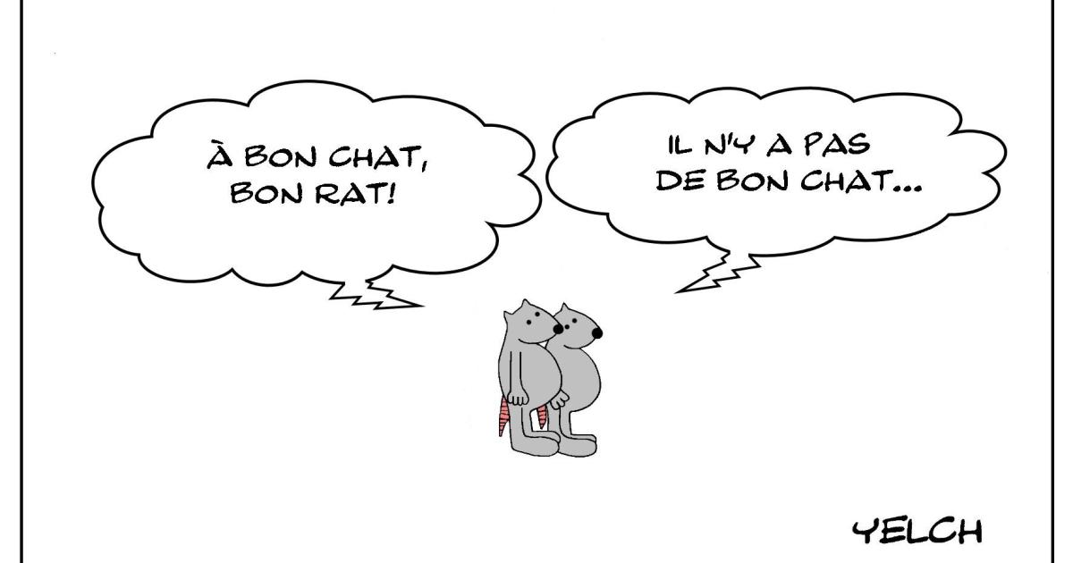 Le bon rat mais pas le bon chat...