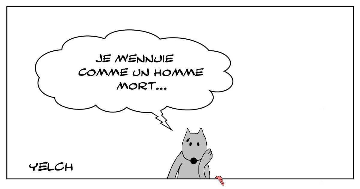 le rat qui s'ennuyait comme un...