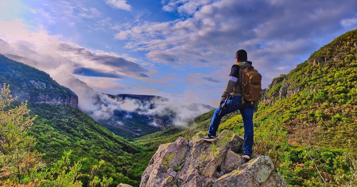 30 - Vacant : (challenge #LinkTober2025)