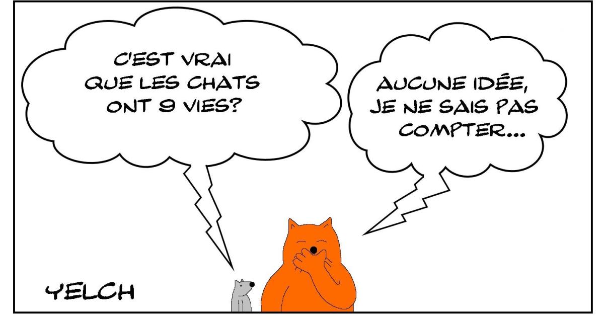 les 9 vies du chat? 