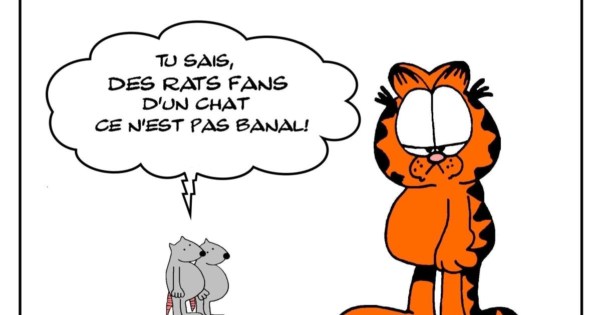 Hommage à mon chat préféré
