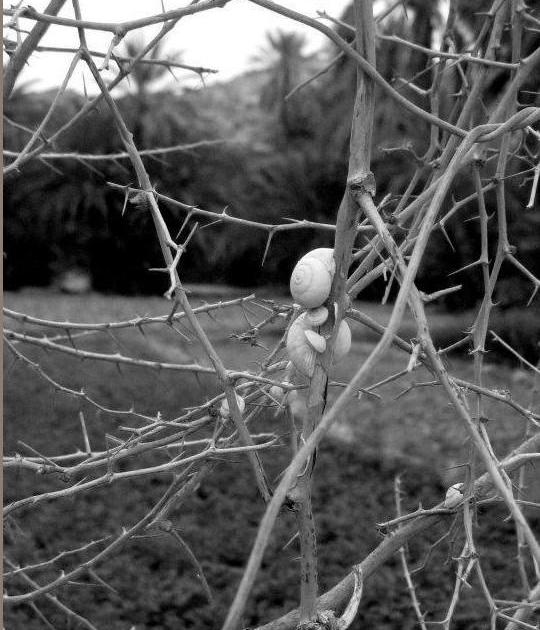 Valentin ? Qu'est-ce qu'il fait, qu'est-ce qu'il a, qui c'est celui-là? Complètement toqué, ce mec-là, complètement gaga...