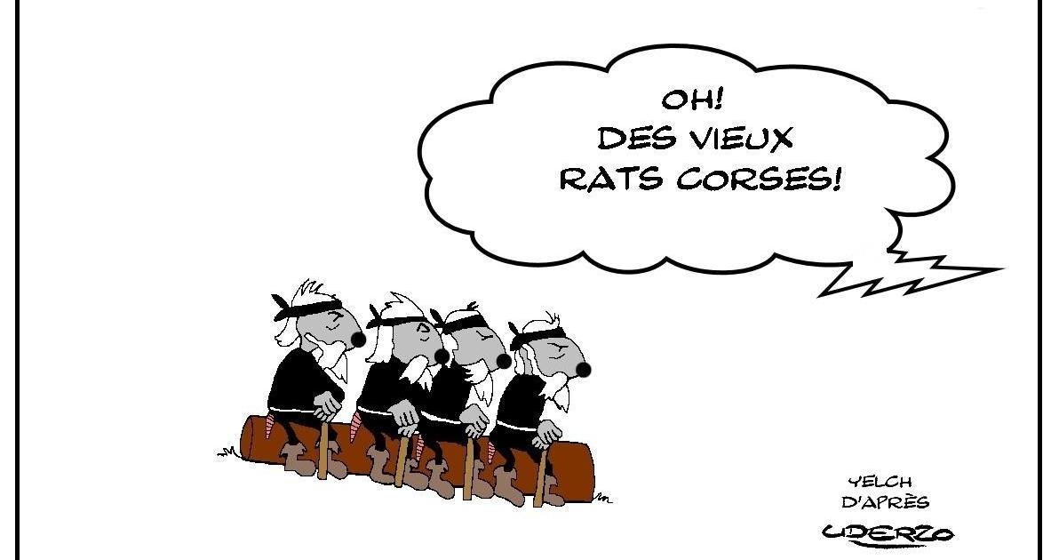 Vieux rats corses - clin d'oeil à Uderzo