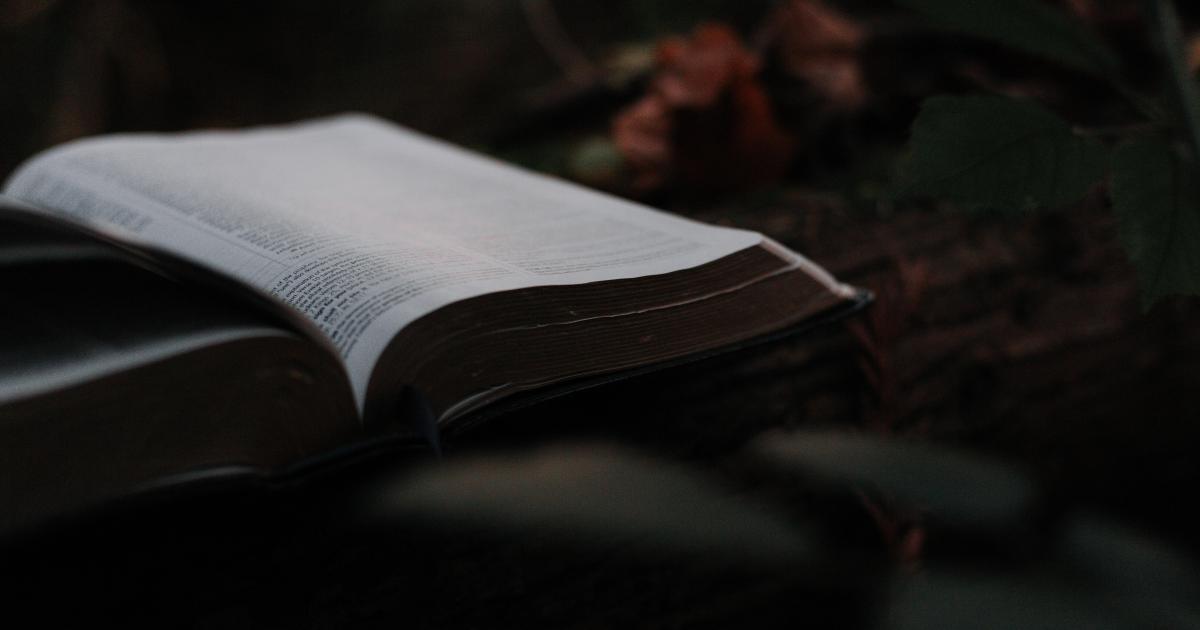 Où se trouve la vraie valeur d'un homme ?