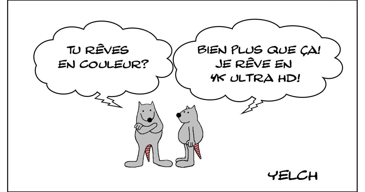 Le rat qui rêvait plus qu'en couleur