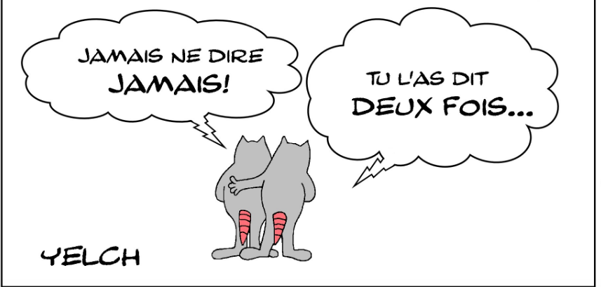 JAMAIS NE DIRE JAMAIS