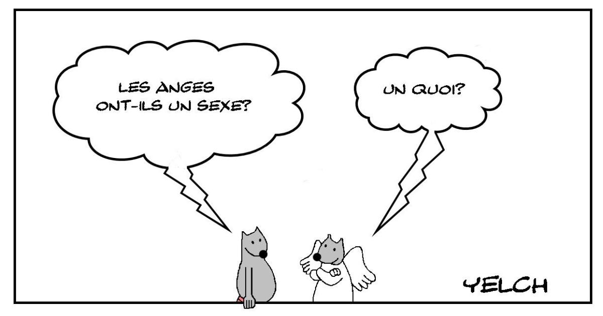 Le sexe des anges