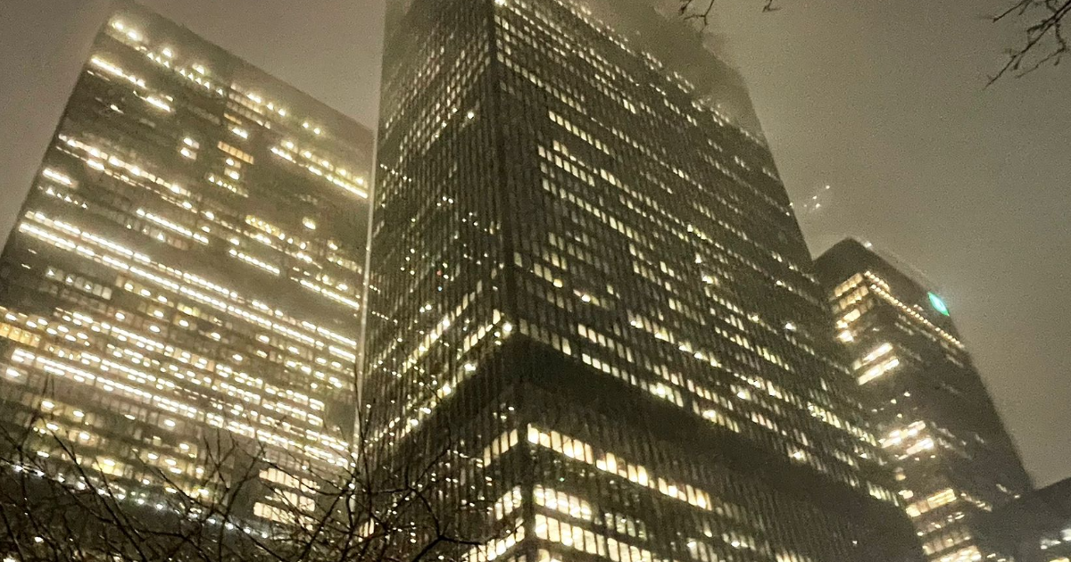 LA TACTIQUE DU ROSEAU