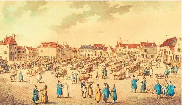 Il y a 160 ans à Poissy, adieu veaux, vaches et moutons !