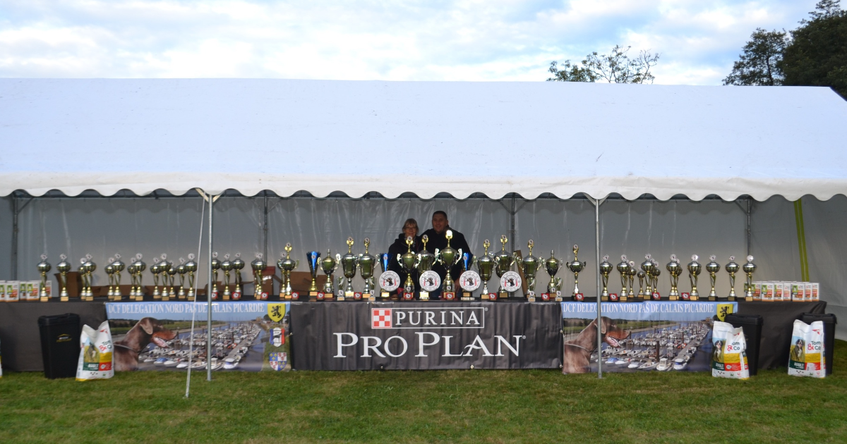 NORTHEN REGIONAL DOBERMANN SHOW - FRANCE