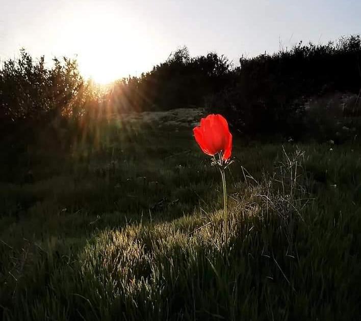 Un Amour Plus Sincère..