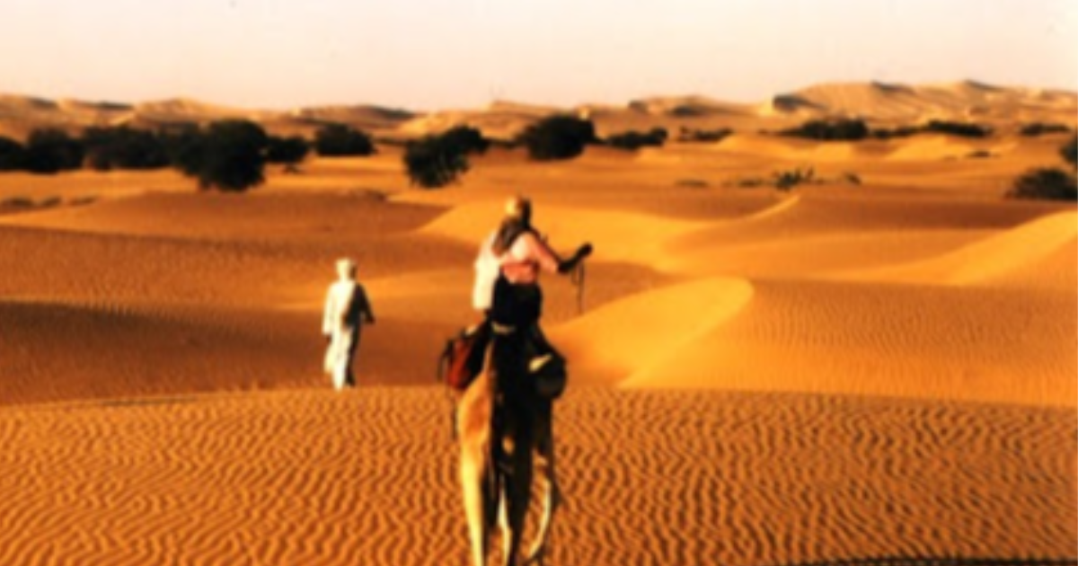 Poésie : Un désir nommé désert