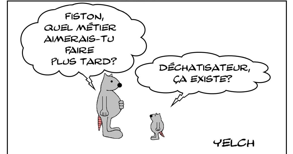 Déchatisateur