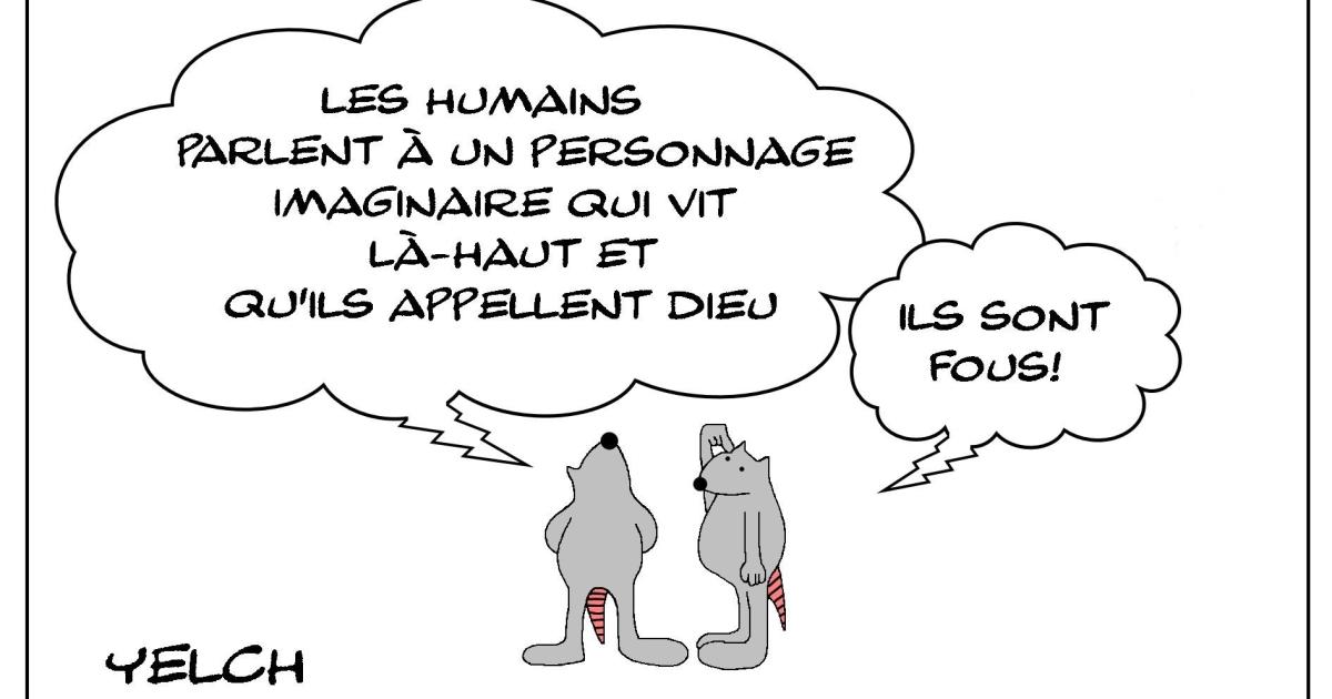 Le rat qui croyait à la folie des hommes