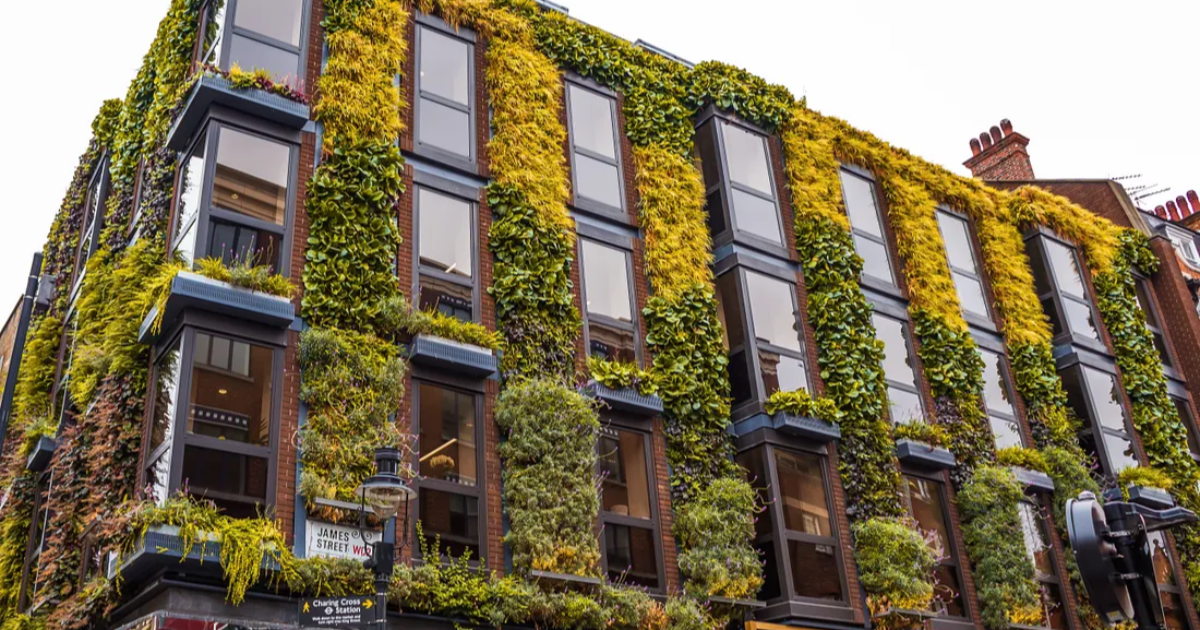 Embracing Greenery in Small Spaces 