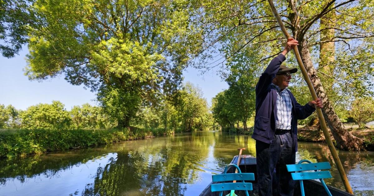 «A coup de pigouille dans mon Marais»