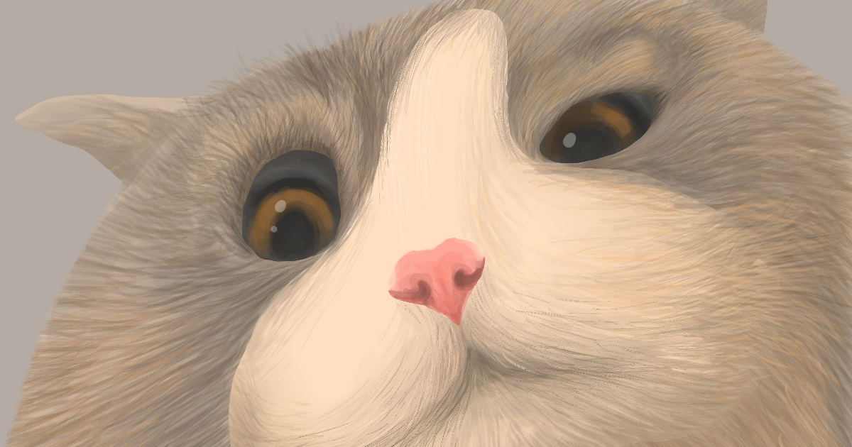 Le chat
