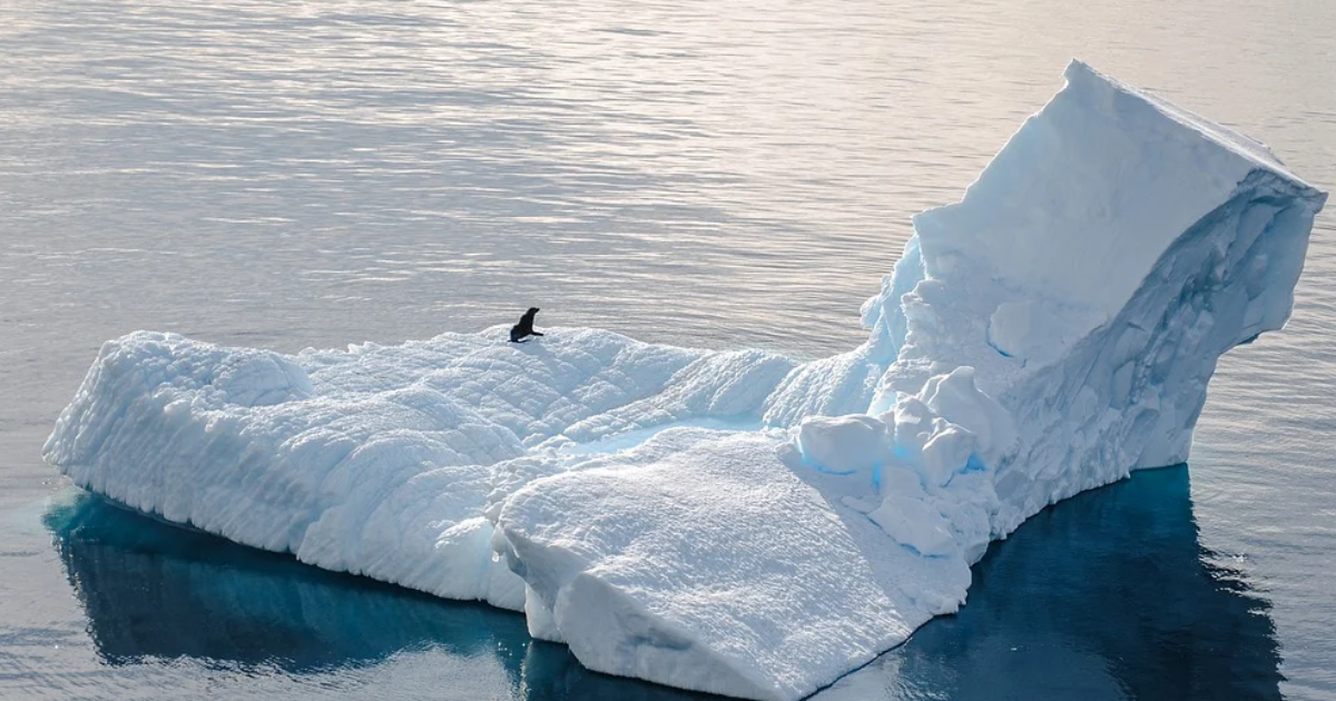 Iceberg