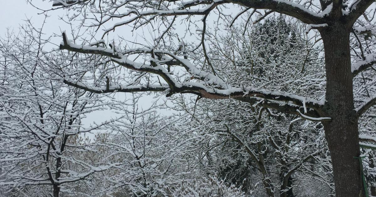 Mon moment préféré de Noël