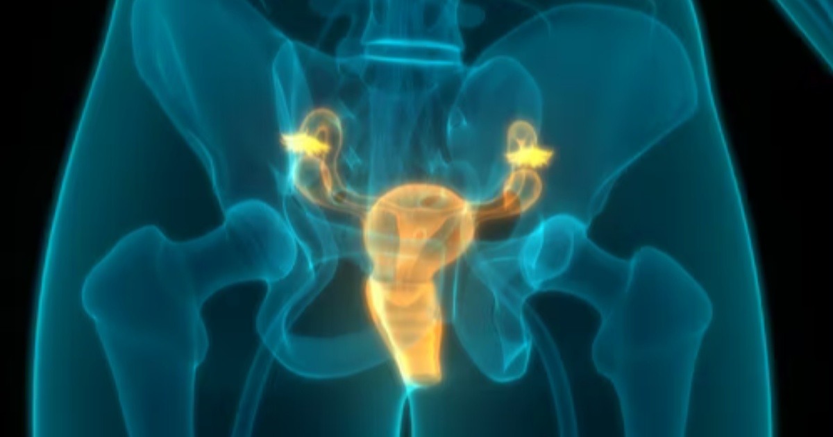 Prostate