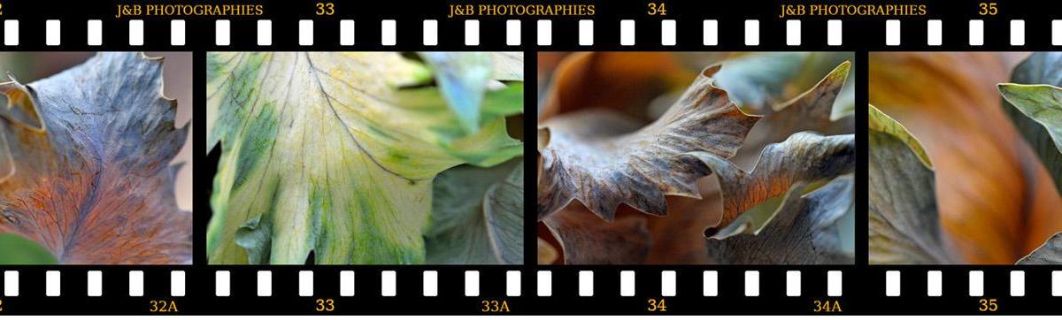 La photographie contemporaine