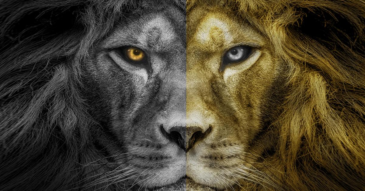 08.La Légende de Nil - Jean-Marc Ferry - Livre I - Les Diamants de Sarel-Jad - Chapitre IV - La première bataille de la monnaie