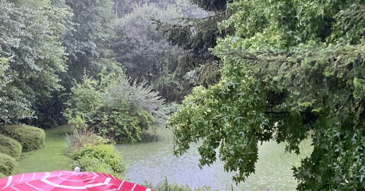 Le jardin du 28 Août
