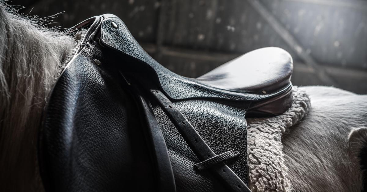 Ecurie Kevyn Thonnerieux : Résultats partants dimanche à Lyon la Soie