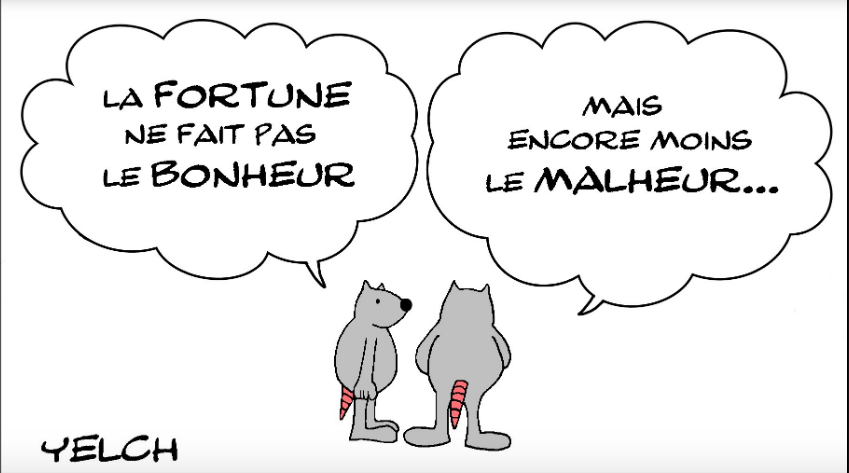 FORTUNE ET BONHEUR