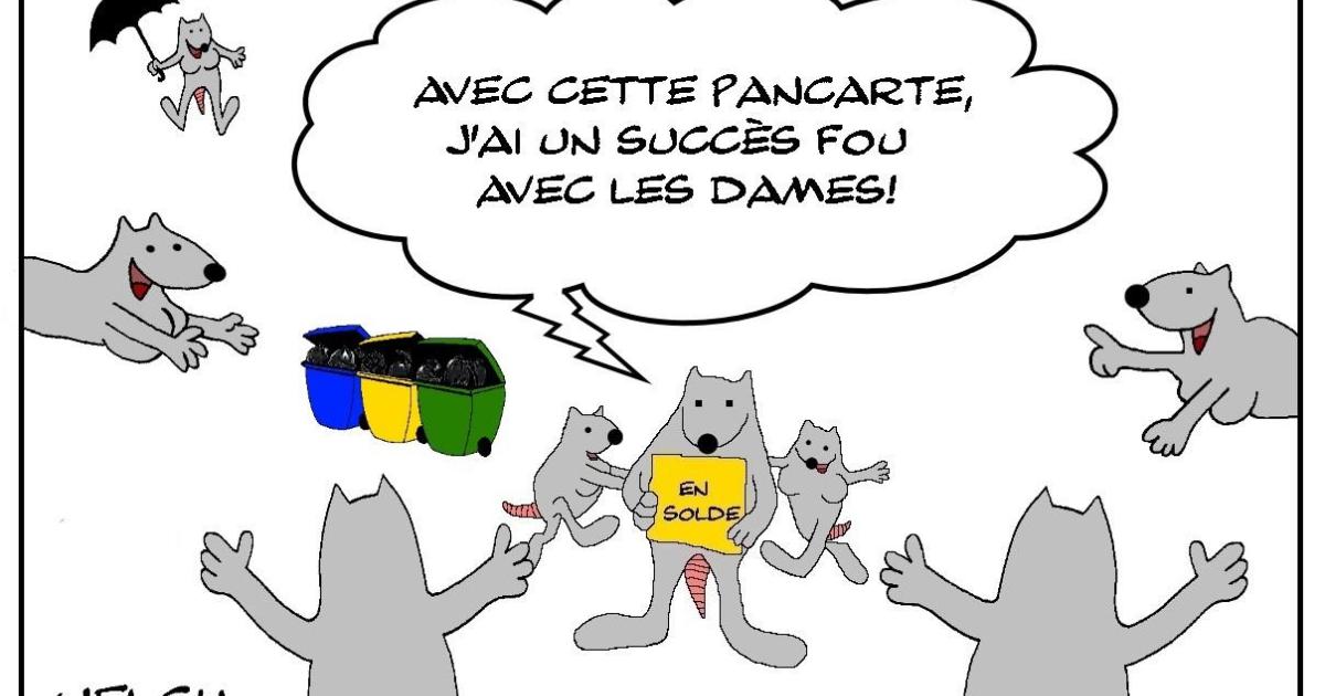 Rat en solde