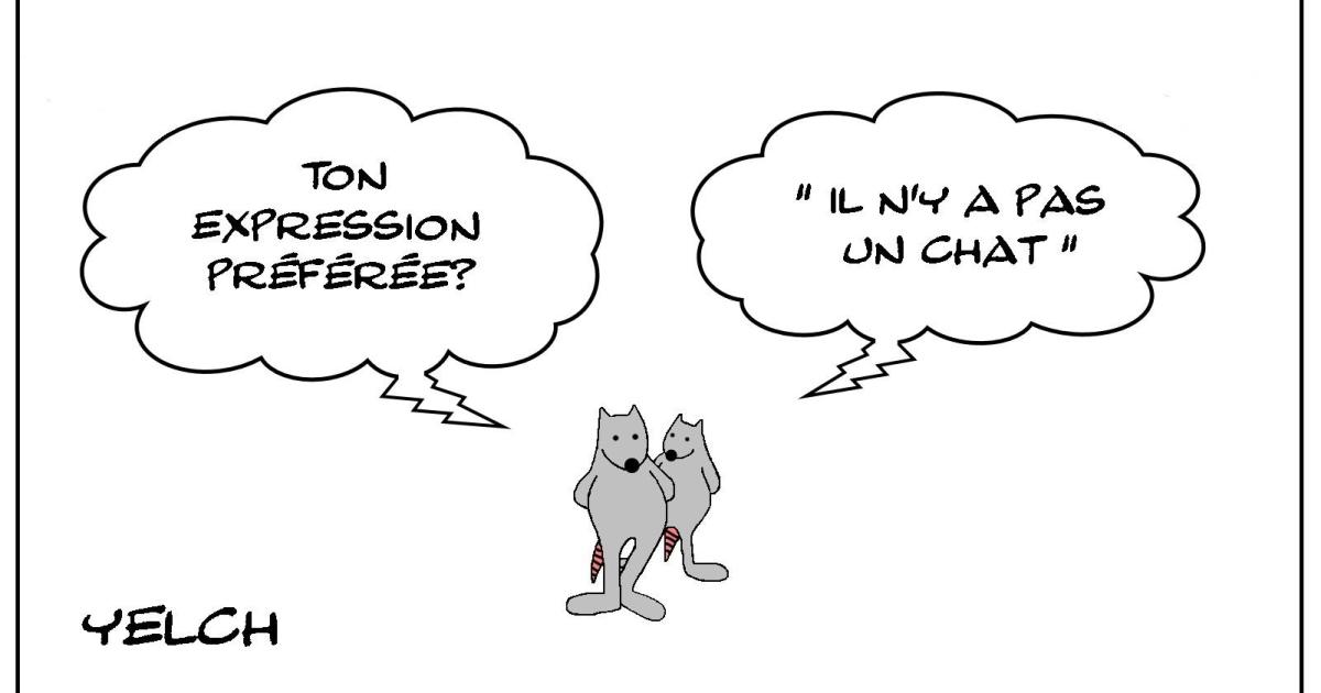 Il n'y a pas un rat? Mais si!