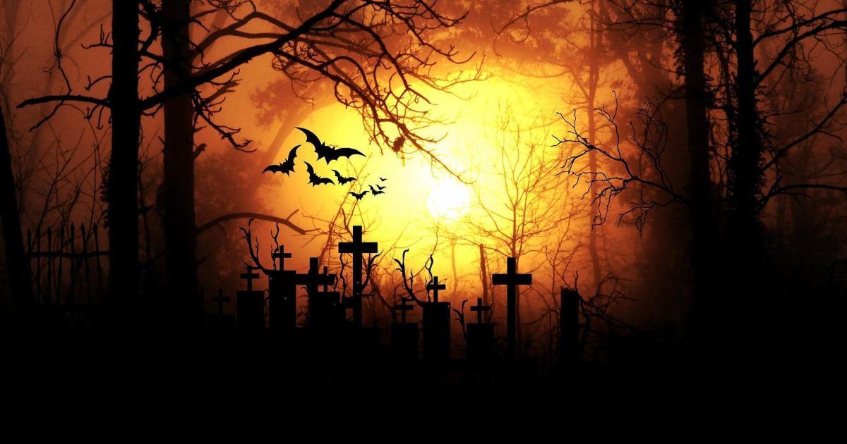 Cauchemar ou réalité ?