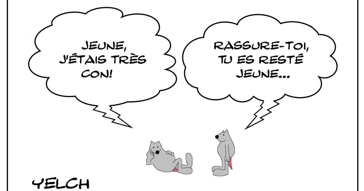 Le rat de Jean-Claude Van Damme