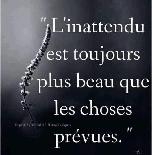 LES PHRASES TOUTES FAITES