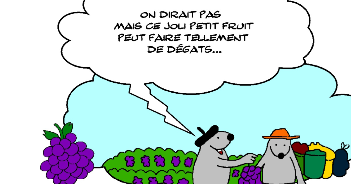 RATPSODIES  - SUMMER 2024 - 31