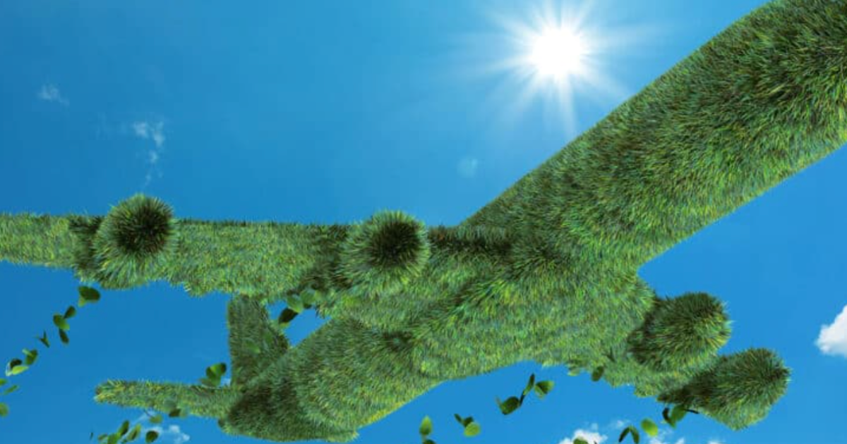 L’avion vert ou le défi impossible... ? Par Karl-Alexandre Pinot, Président de "L'Alliance"