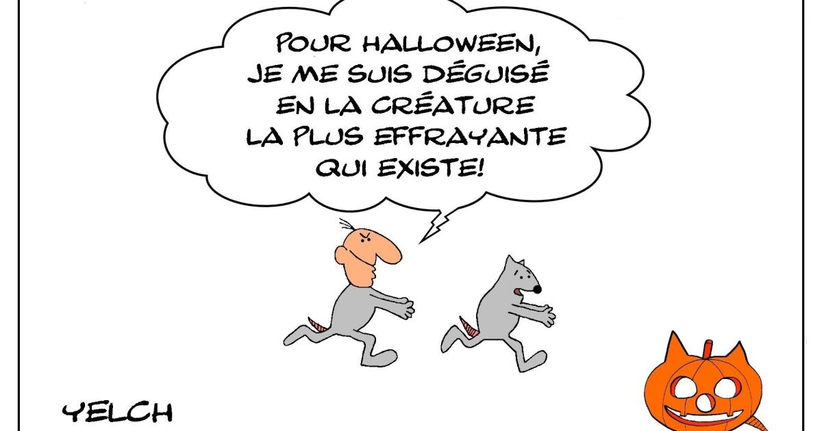 Halloween de rats