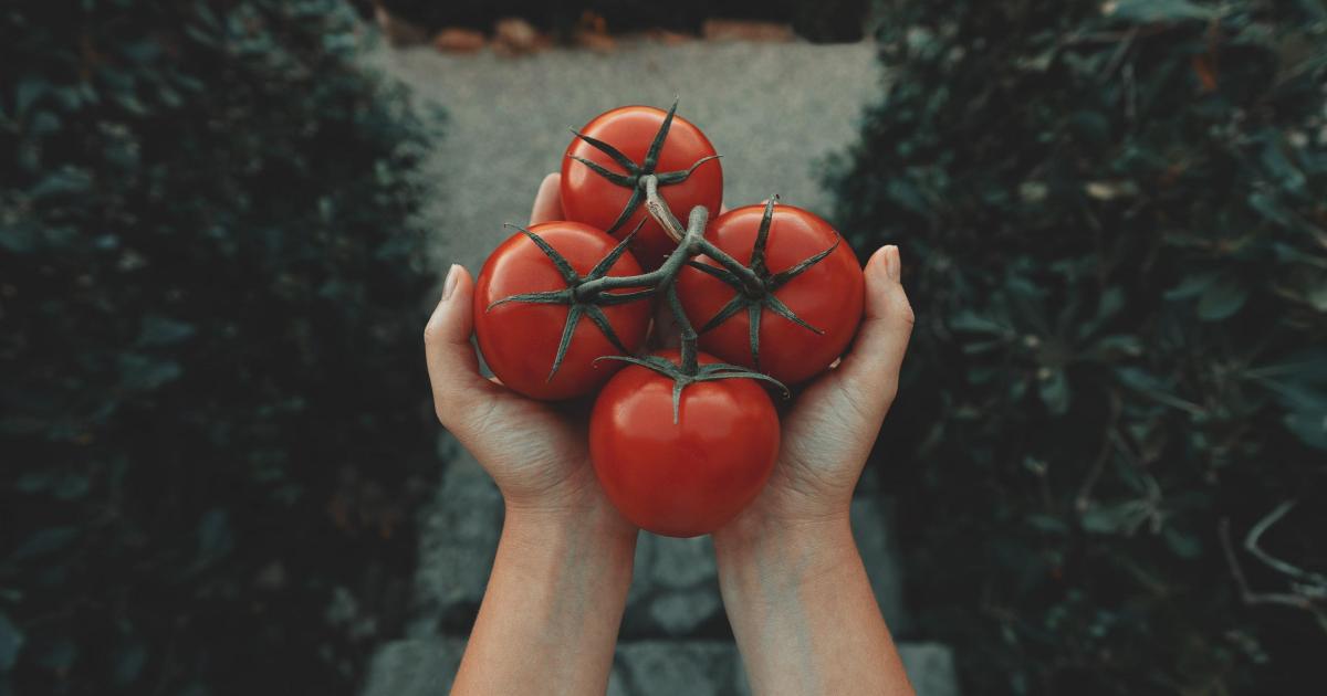 Clafoutis tomates, épinards et feta