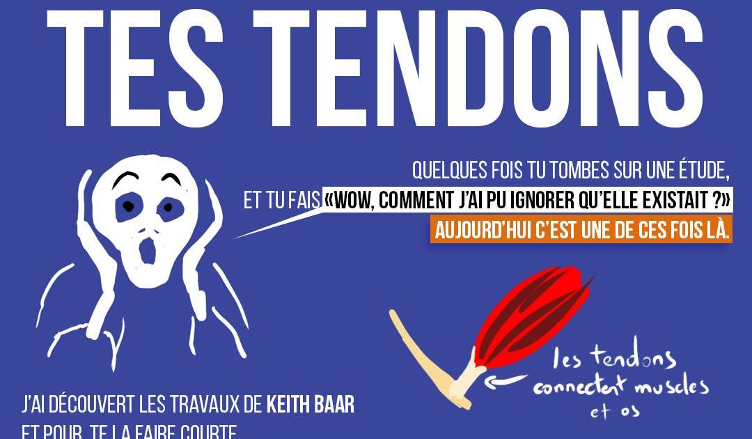 Bétonner tes tendons