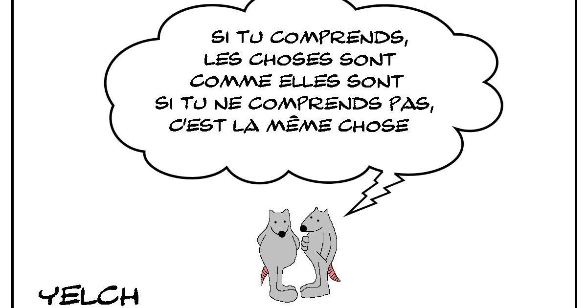 Comprendre les choses ou pas