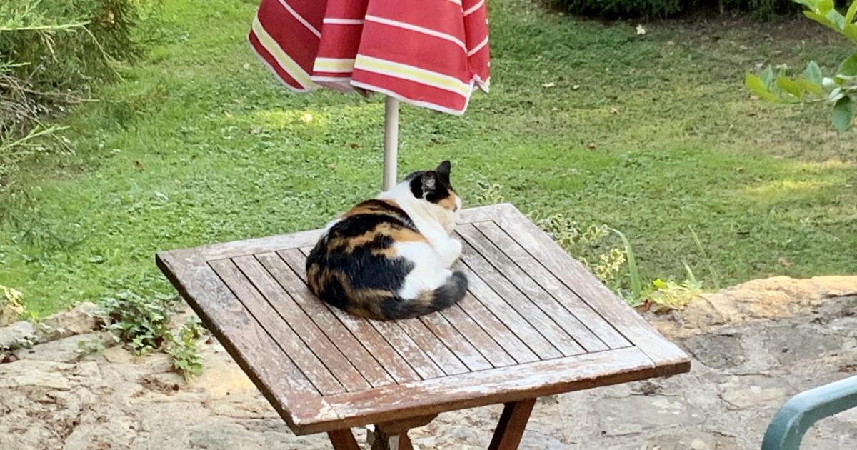 Le jardin du 10 Septembre