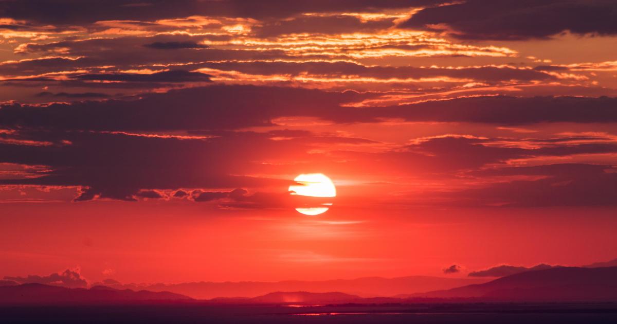 Chronique de "Quand les souvenirs viennent à ma rencontre"