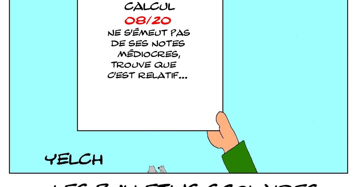 les bulletins scolaires d'Albert Einstein : calcul