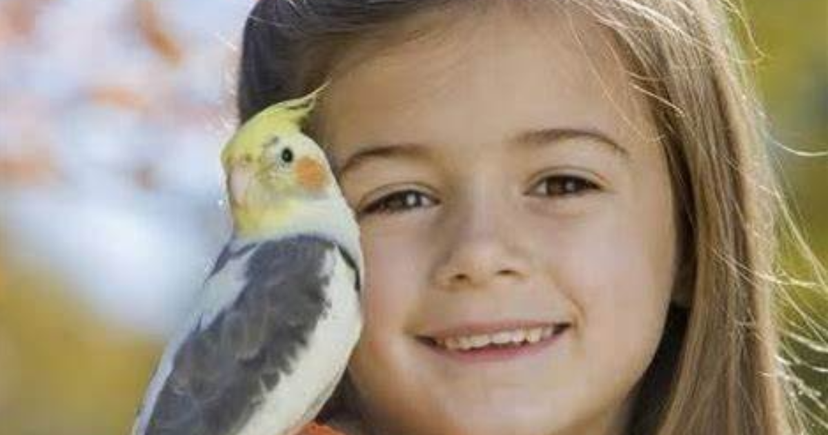 L'oiseau et l'enfant