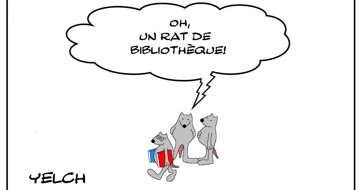 Rat de bibliothèque